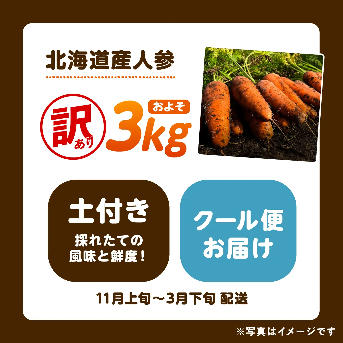 【先行予約】訳あり 北海道 にんじん 3kg 土付き[BEBA004]