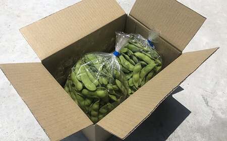 新鮮お届け！夏の味覚「枝豆」おてごろ1kg（500g×２袋） Fiz-B07 枝豆 枝豆 枝豆 枝豆 枝豆 枝豆
