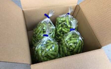 新鮮お届け！夏の味覚「枝豆」たっぷり2kg（（500g×4袋）） Fiz-A08 枝豆 枝豆 枝豆 枝豆 枝豆 枝豆