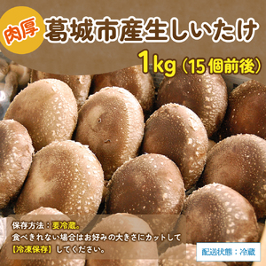 しいたけ 葛城市産生しいたけ（1kg） 15個前後 【kobo004】