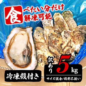 訳あり 生産調整品  殻付き 牡蠣 5kg 冷凍 牡蠣