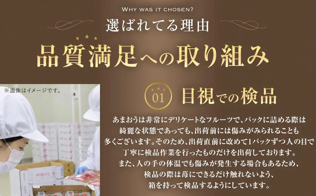 博多 あまおう 6パック（冬）【2026年12月上旬～2027年1月下旬発送予定】