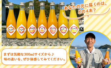 ＜一歩会 ジュエリーボックス ジュース飲み比べセット ミニ 300ml×4本入り＞ 愛媛 果汁 100% ジュース ストレートジュース みかんジュース セット 柑橘 飲料 オレンジ 特産品 渡江から一歩を踏み出す会 愛媛県 西予市【常温】『1か月以内に順次出荷予定』ATI0036