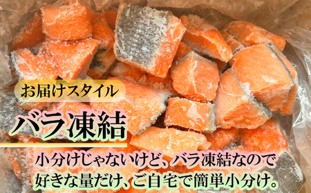 訳あり 銀鮭 無添加 ゴロ銀 1.5kg