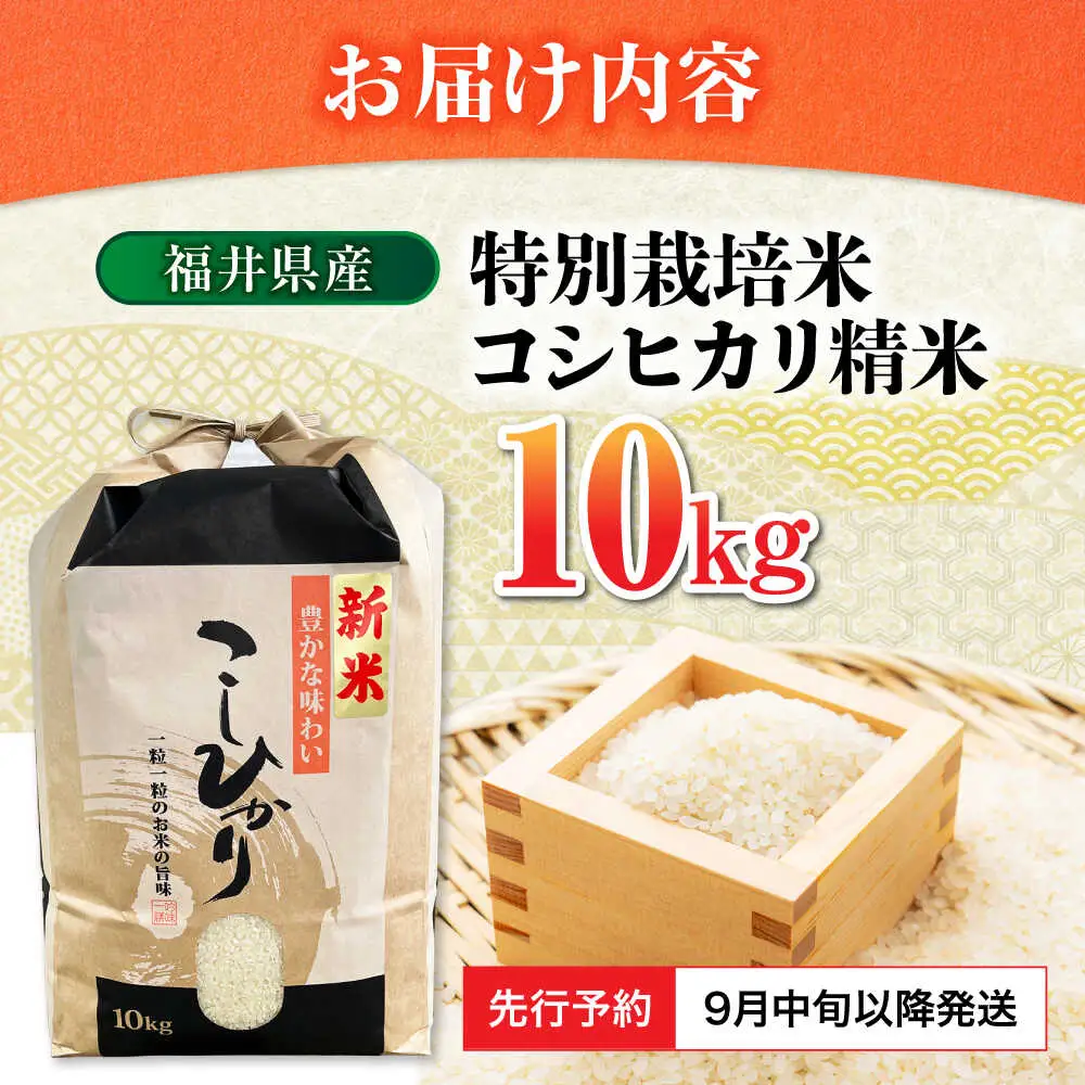 【新米】【令和7年産】 福井県産 特別栽培米4 コシヒカリ 白米 10kg / 米 お米 精米 国産米 / 小浜市 / 北川博司 [BFDG002]