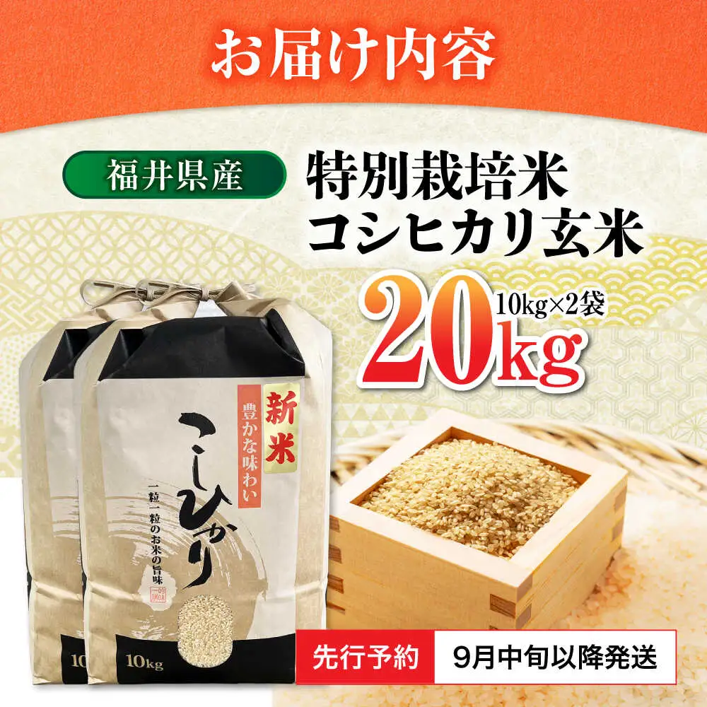 【 先行予約 /9月中旬以降発送】　【令和7年産】 福井県産 特別栽培米4 コシヒカリ 玄米 10kg×2 （20kg） / 米 お米 国産米 / 小浜市 / 北川博司[BFDG003]