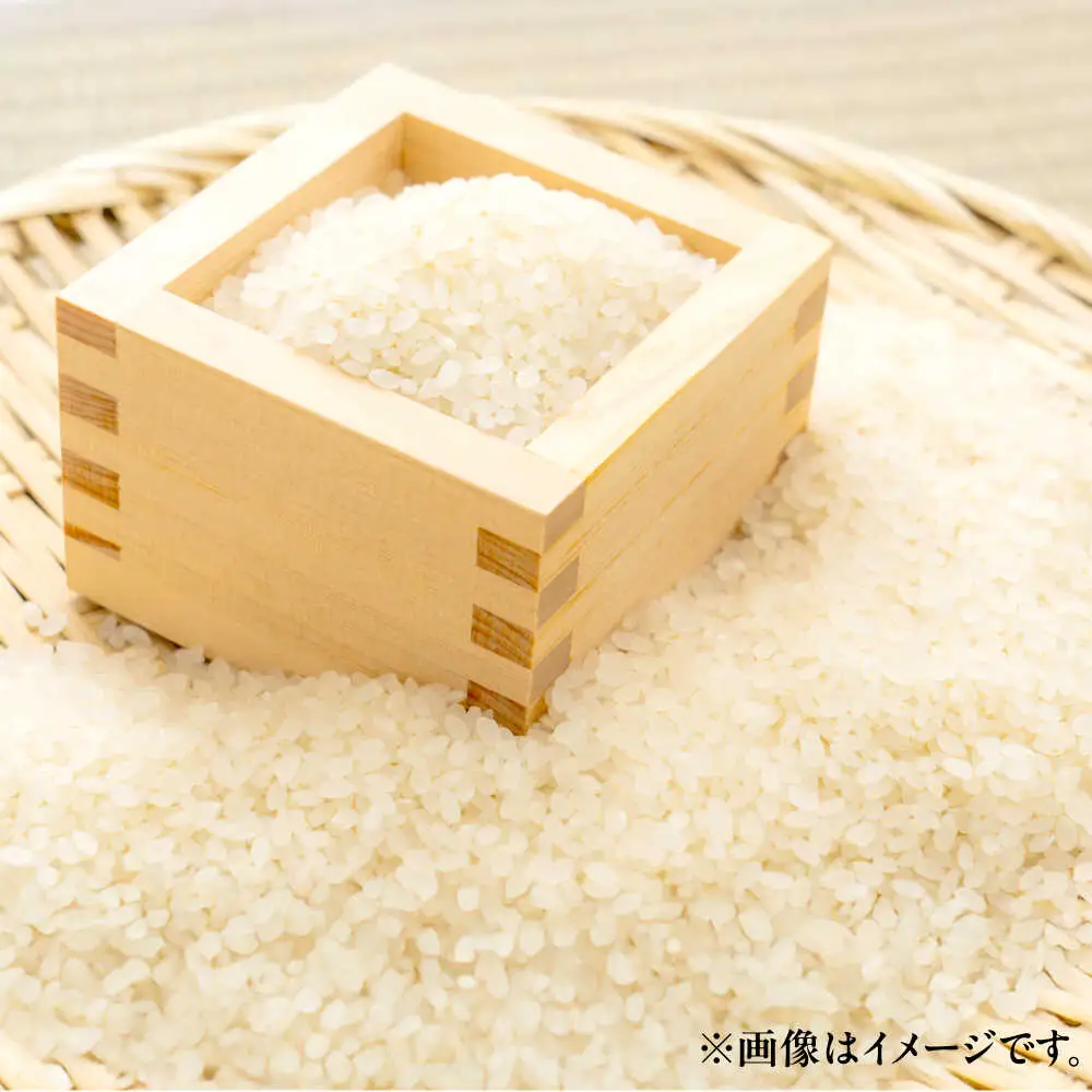 【令和8年産 新米】 【先行予約 / 8月下旬より順次発送 】 ハナエチゼン 白米 10kg / 米 お米 精米 小浜市 / 北川博司 [BFDG004]
