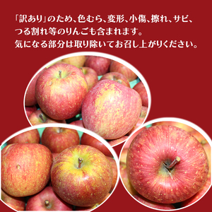 りんごサンふじ訳あり家庭用 青森県産 りんご【約5kg】【2月発送】