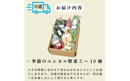 旬のエシカル野菜セット