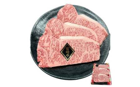A4等級以上 宮崎牛サーロインステーキ 600g（200g×3枚） 内閣総理大臣賞 牛肉 和牛 黒毛和牛 ブランド牛 宮崎牛 和牛 国産 サーロイン ステーキ