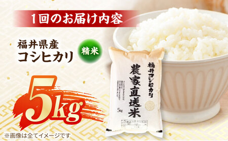【定期便2回】【令和7年産】 福井県産こしひかり 精米 5kg 小浜市 / シマダ農園 [BFAV009]