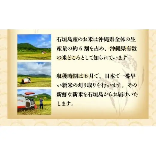 【石垣島産】日本最南端の日本一早い新米（清衛門）2kg×2袋 　TN-01