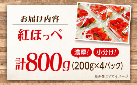 苺 紅ほっぺ 200g×4パック 国産 完熟 スムージー ジャム ヨーグルト 一口サイズ イチゴ 完熟 苺 果物 フルーツ 冷凍 広島県福山市/株式会社ベジータ[BABR002]