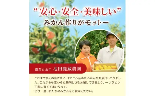 鹿蔵 プレミアム 有田 みかん 2.5kg+250g（傷み補償分）(完熟) / 温州みかん 有田みかん 光センサー 選別 甘い 和歌山 柑橘 ※2026年10月上旬～11月中旬頃に順次発送予定 ※北海道・沖縄・離島への配送不可 【ikd004-prem-2d5A】