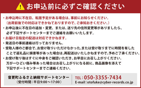 ［先行受付］おとふけ産マンゴー「白銀の太陽プレミアム」4Lサイズ×1玉【D26】《2026年11月上旬より発送開始予定》