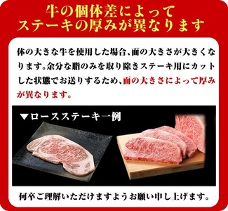 ロース ステーキ 4枚セット ＜4枚・計約1kg＞  牛肉 4等級以上 鹿児島県産 黒毛和牛 【ナンチク】A782-H