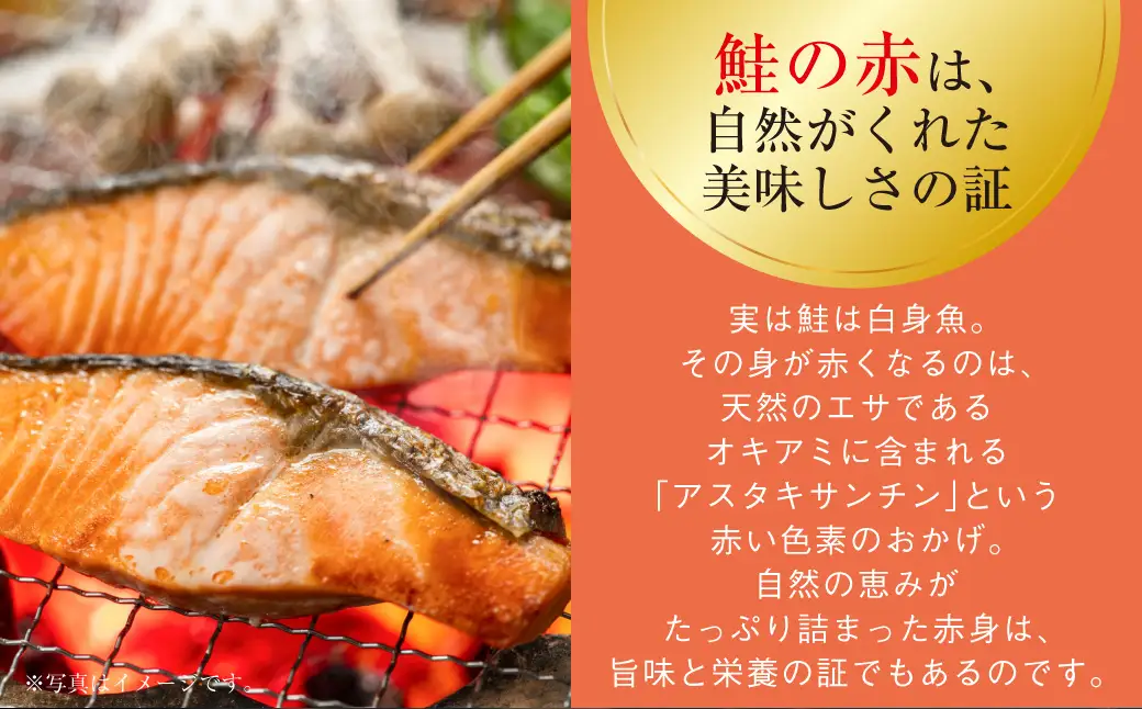 【最短3営業日以内発送】訳あり 紅鮭 約3kg 鮭 打ち身 わけあり しゃけ サーモン 切り身 サケ さけ わけあり 規格外 不揃い 切り落とし 釧路市 北海道 F4F-8287