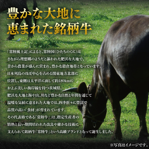 【4か月定期便】A5ランク常陸牛　食べ比べ　定期便コースA（EK-78）