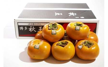 A198 福岡県産 ブランド柿・秋王 約1.5kg（4～6玉） 【2026年10月下旬～11月下旬発送予定】 柿 甘柿 秋王 果物 くだもの フルーツ