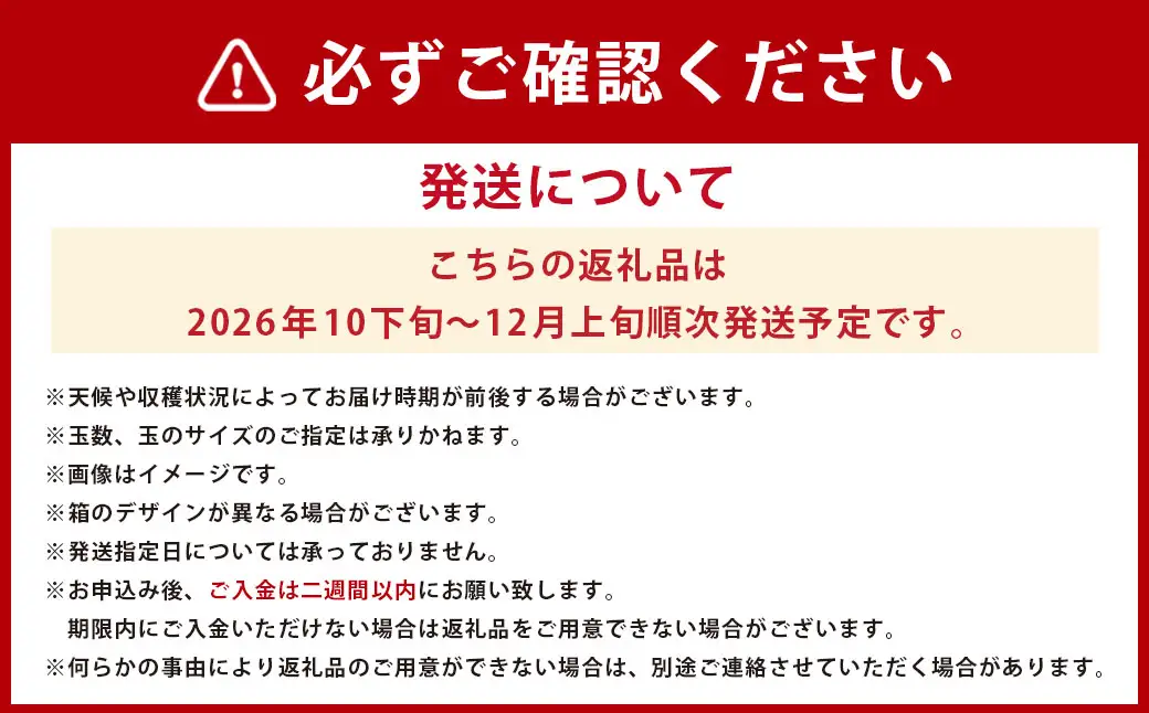A200  福岡県産 ブランドキウイ・甘うぃ 約3kg（24～33玉） 【2026年10月下旬～12月上旬発送予定】 キウイ 果物 くだもの フルーツ