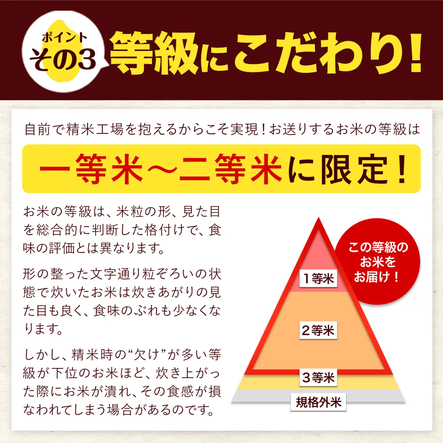 無洗米 令和7年産 ひのひかり 森のくまさん 20kg 12ヶ月 定期 無洗