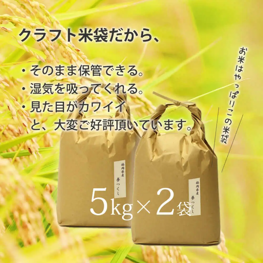 福岡県産 夢つくし 玄米 10kg (5kg×2袋)[BGAF022]