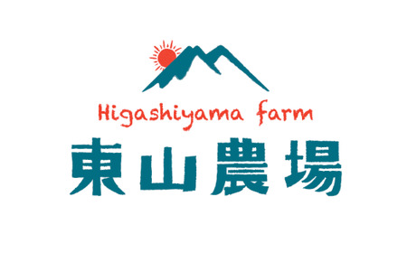 【先行予約】【大玉】とろける舌触り！東山農場産キングメロン 2玉