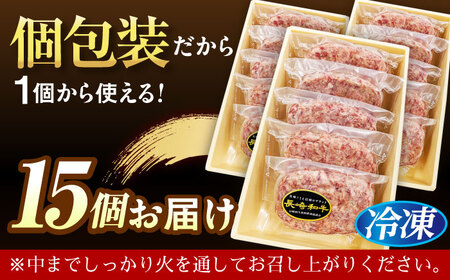 長崎和牛特選ハンバーグ150g×15[QAA038]