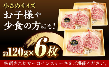 崎和牛A5ランクサーロインステーキ6枚 約120g×6枚[QAA035]