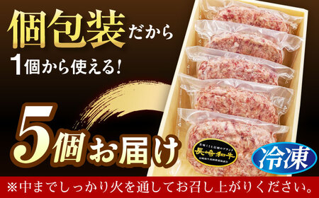 長崎和牛特選ハンバーグ150g×5[QAA036]