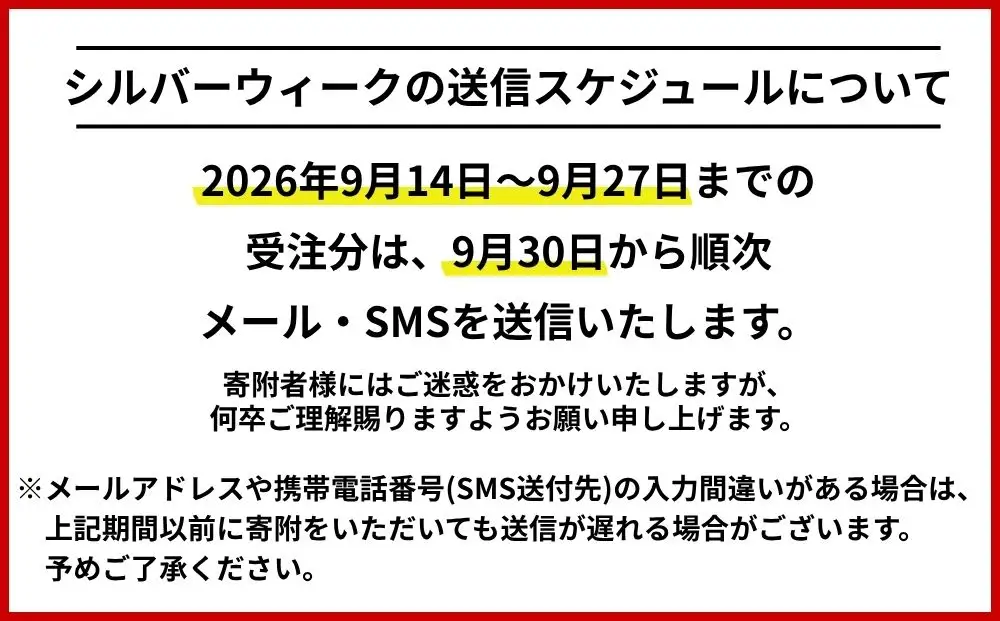 北海道函館市　日本旅行　地域限定旅行クーポン300,000円分（Eメール発行）_HD131-012