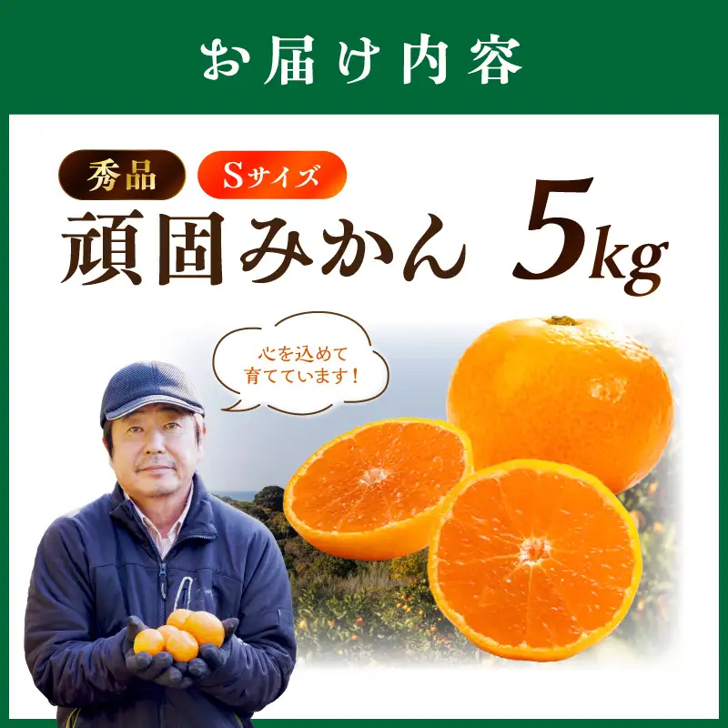 和歌山県天田のこだわり頑固みかん【秀品】 5kg　サイズ指定可能（S・M・L）Sサイズ【1205_S】