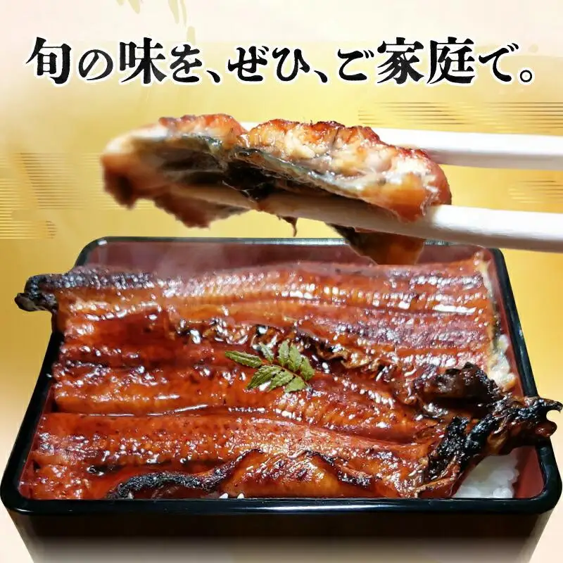 【お中元ギフト】源内うなぎ（5尾）