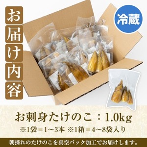 ＜先行予約受付中！2027年3月上旬以降順次発送予定＞ 【土日祝着】お刺身たけのこ(計1kg) 国産 鹿児島県産 朝採れ タケノコ 竹の子 筍 真空パック 野菜 春 旬 【上野食品】akn008-06-B