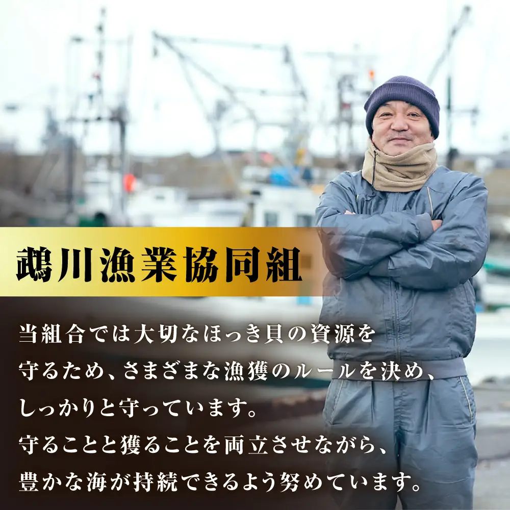 【2026年7月中旬以降順次発送再開】活ほっき貝 4kg 約14〜24個【鵡川漁業協同組合】ホッキ 冷蔵発送 [AXAL006]