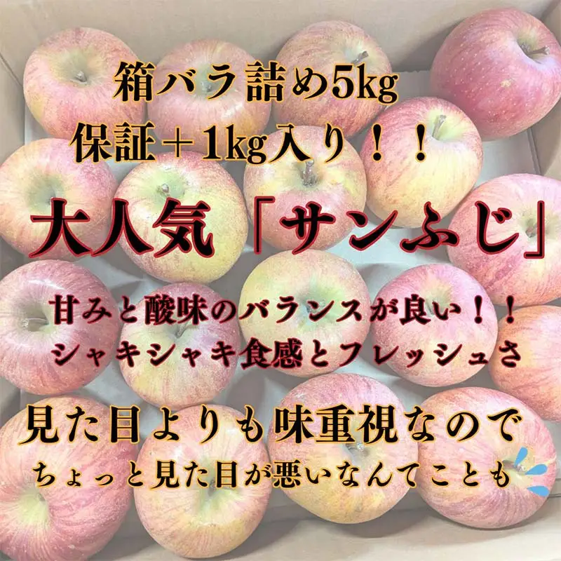 りんご 家庭用 5kg バラ積め 保証+1kg入＜有我果樹園＞ りんご リンゴ 林檎 デザート フルーツ 果物 くだもの F7X-0286