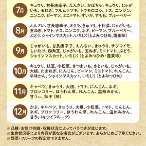 【毎月お届け】むなかた旬のお任せセット 野菜 フルーツ 卵 9～11品 _HB0194 | 定期便 詰め合わせ
