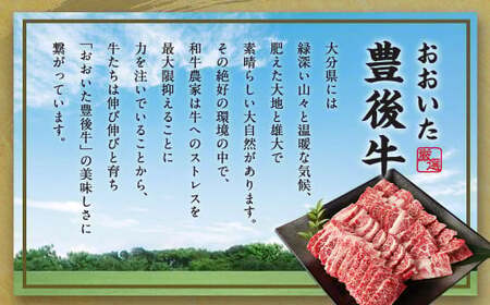 【大分県産】 豊後牛 焼肉用 カルビ 切り落とし 約990g （約330g×3パック） 牛肉 中落ち