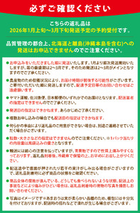 【1月上旬以降順次発送予定】博多あまおう 計約560g｜ONE GO あまおう as45-001