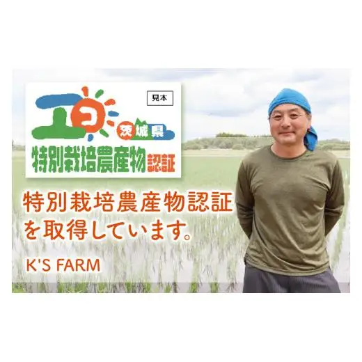 先行予約 令和8年産 特別栽培農産物認証 コシヒカリ 精米 ５kg 特栽米 ネオニコフリー 減農薬 減化学肥料 安心 安全 こしひかり 白米 弁当 おにぎり オニギリ 有機肥料 特別栽培米 エコ農産物 茨城県産米【2026年9月より順次発送】(86-01)