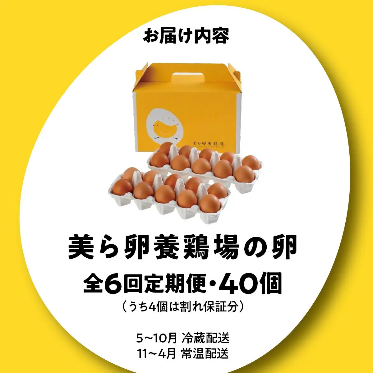 美ら卵養鶏場の卵 40個【6ヶ月定期便】   