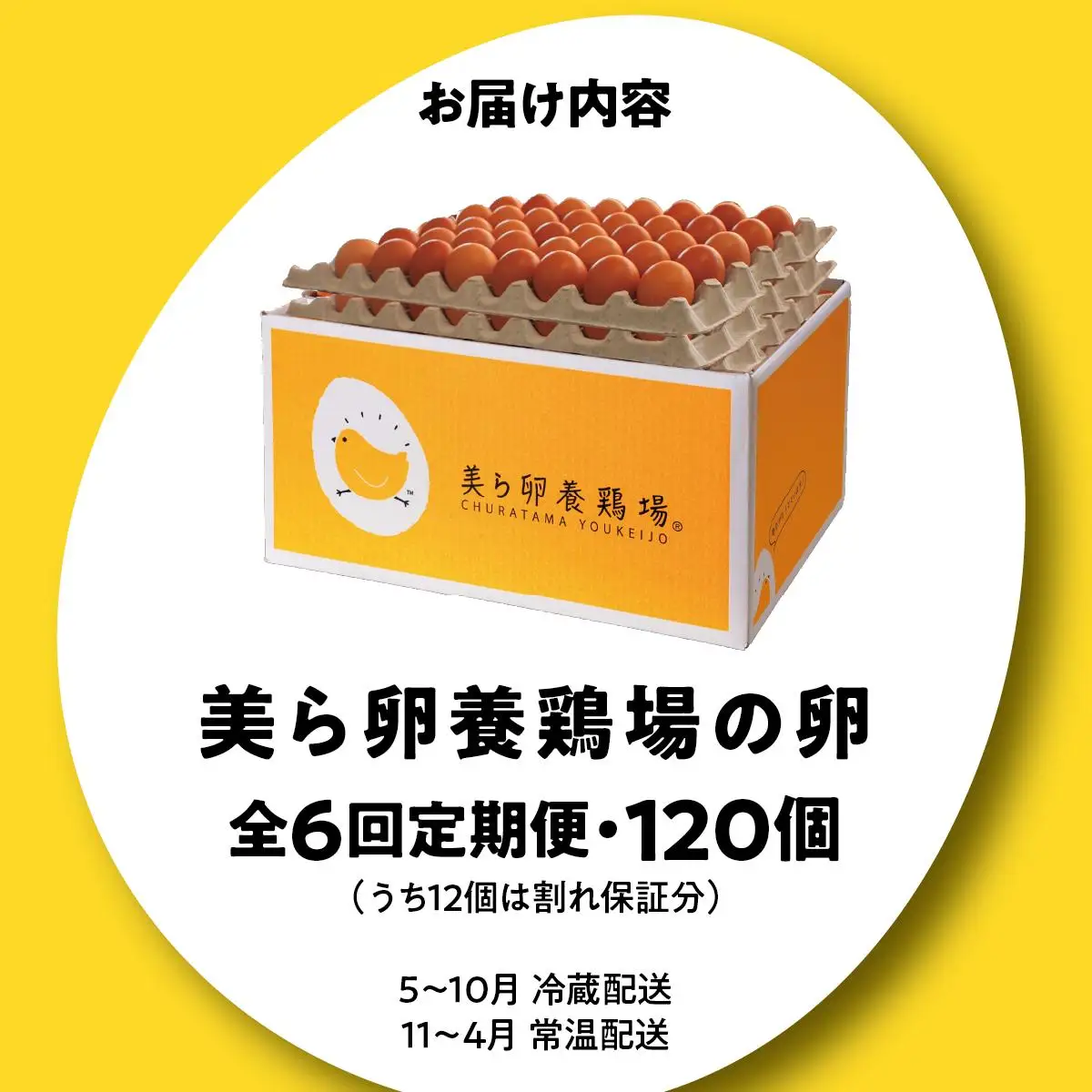美ら卵養鶏場の卵 120個【6ヶ月定期便】   