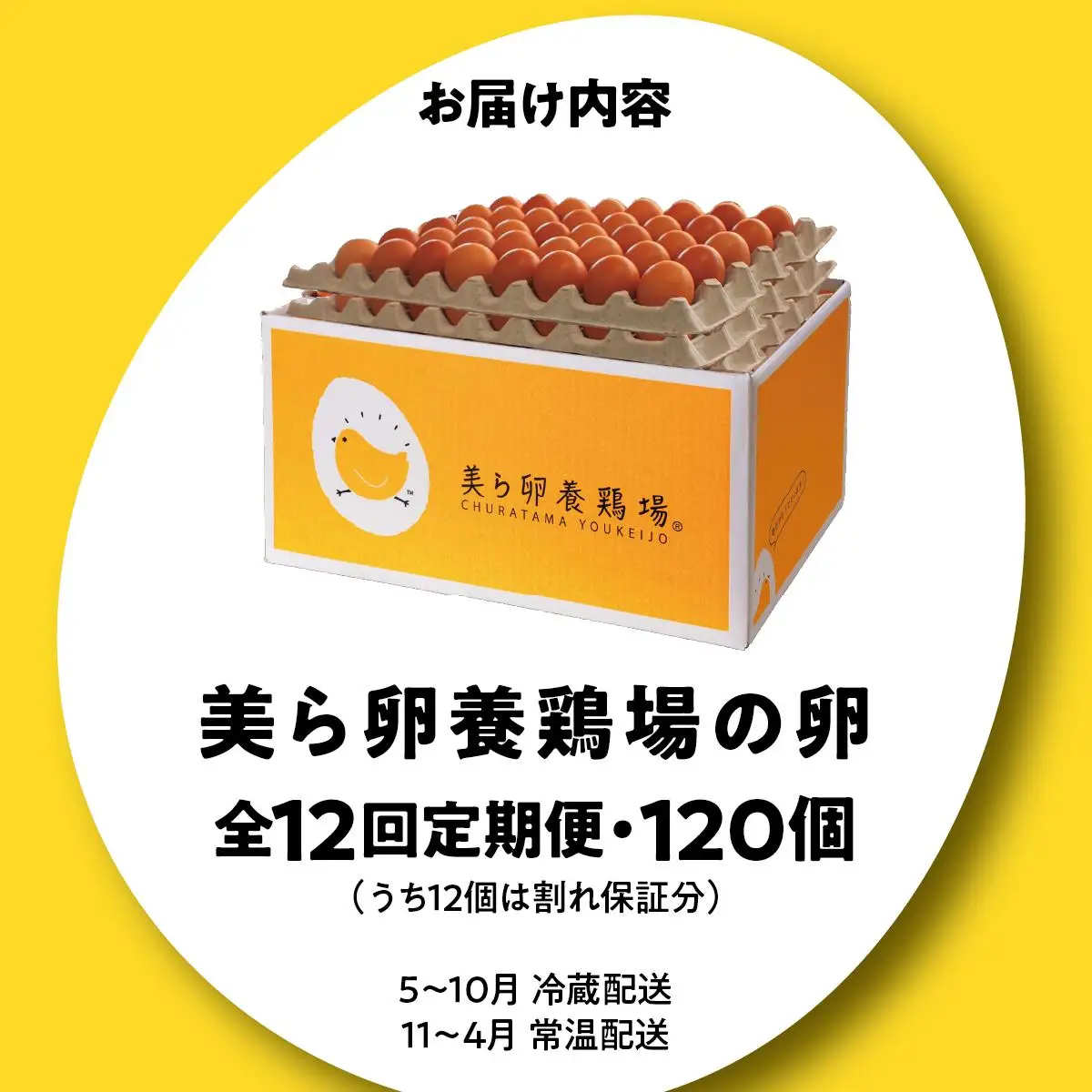 美ら卵養鶏場の卵 120個【12ヶ月定期便】   