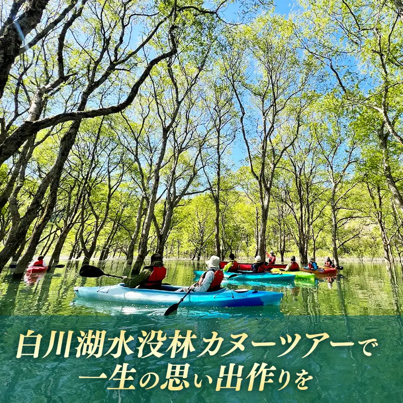 絶景 水没林カヌーツアー（2名様）癒しの自然満喫アクティビティ【フォトジェニックスポット】- 体験型 カヌー体験 レジャー カヌー 自然 白川湖 水没林 体験チケット アクティビティ 観光 アウトドア 山形県 飯豊町【価格改定】