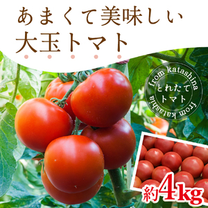 片品村産トマト　1箱