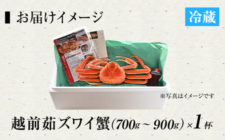 【先行予約】[捌き済選択可][到着日指定可]蟹好きにおすすめ！老舗カニ専門店の「越前ずわいがに」中(700g～900g)【11月中旬より順次発送】 [I-085016]  / ｽﾞﾜｲｶﾞﾆ ｽﾞﾜｲｶﾞﾆ ｽﾞﾜｲｶﾞﾆ