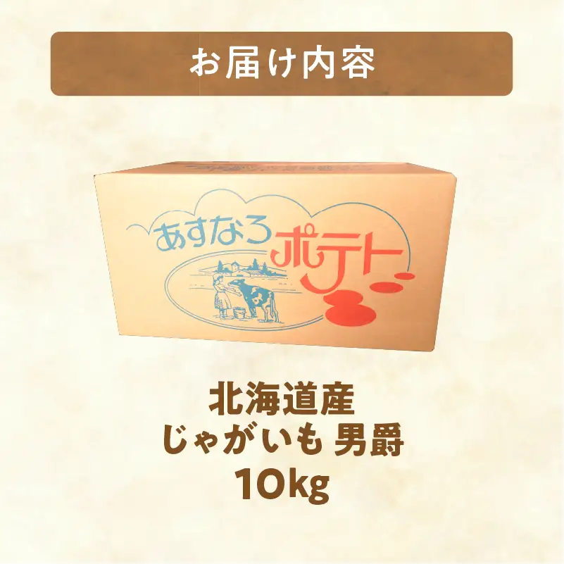 北海道産じゃがいも 男爵 10kg 【北海道清水町】じゃがいも _S041-0006-2026