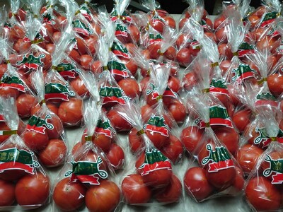 【先行予約】ゲミューゼ濃厚トマトと爽快トマトの食べ比べセット（数量限定） gmz01_R9