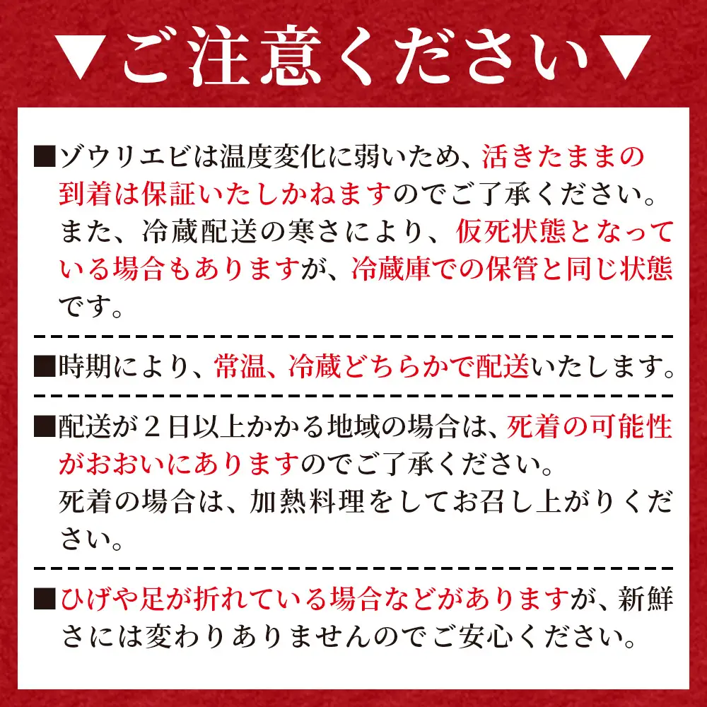 活 ゾウリエビ 約200～250g(1尾～2尾) 幻のエビ eb-0053