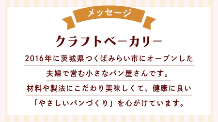 クランベリーとオレンジの食パン（２斤）